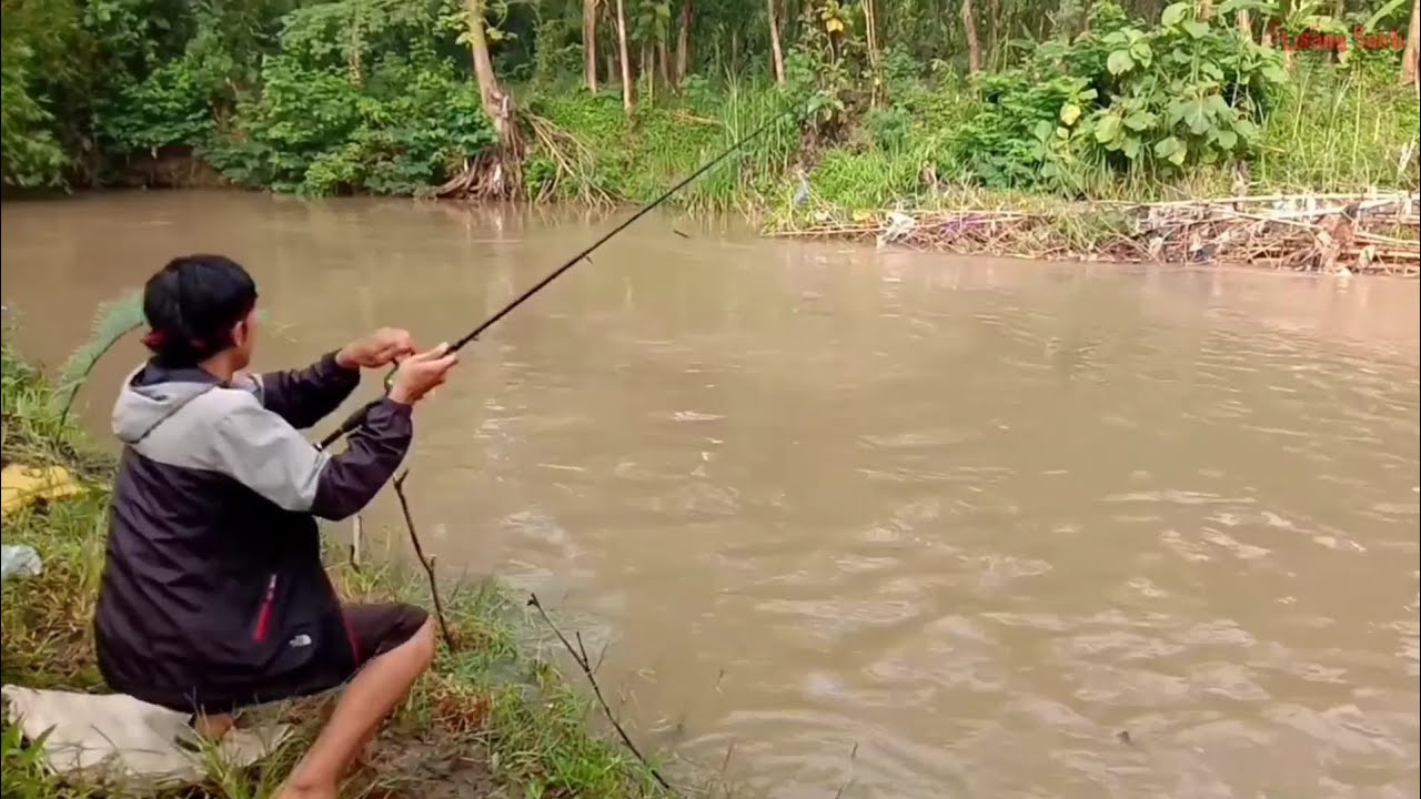 Tarikan SUPER BABON Memang Benar-benar Mantabs