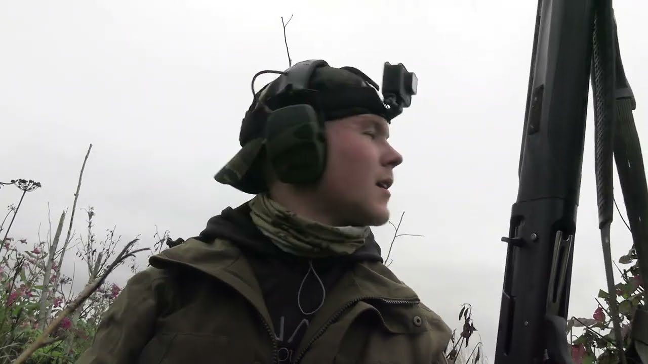 AH: Hanhen mets&auml;stys