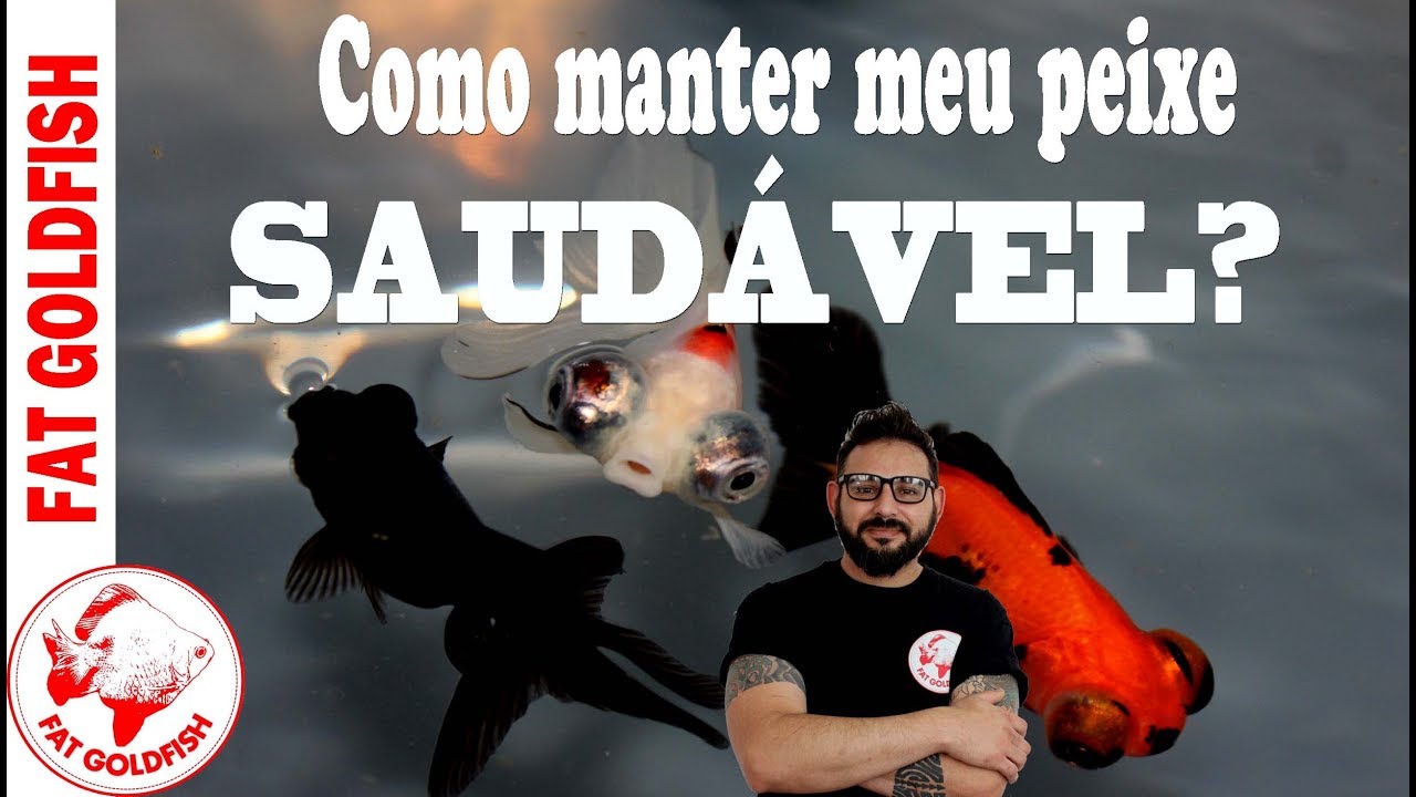Como manter meu peixe saudável?