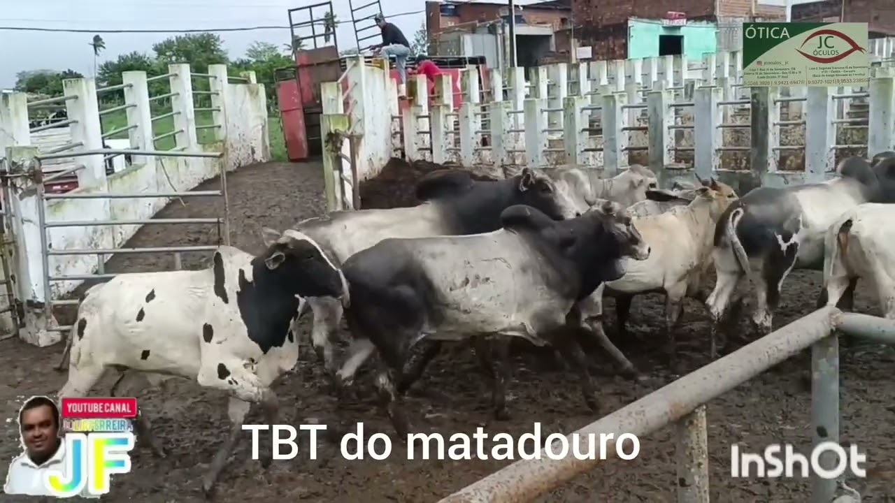 TBT DO CURRAL DO MATADOURO