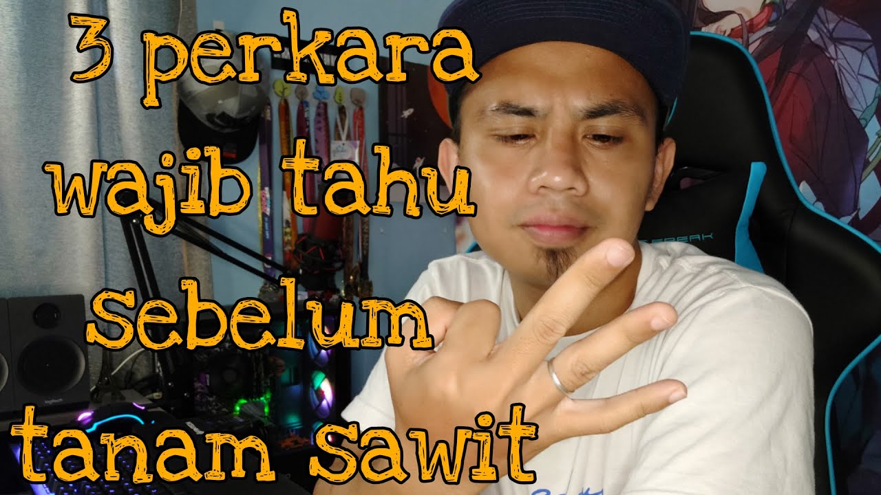 Tips tanam pokok sawit - Tengok ni sebelum rugi 25 tahun