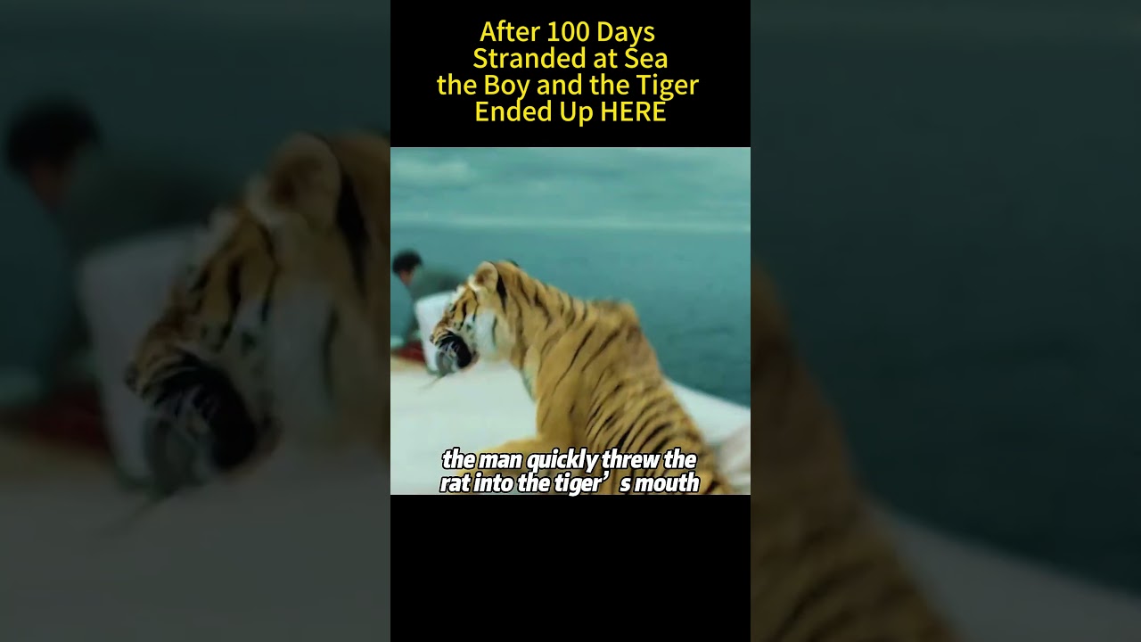 After 100 Days Stranded at Sea, the Boy and the Tiger Ended Up HERE 