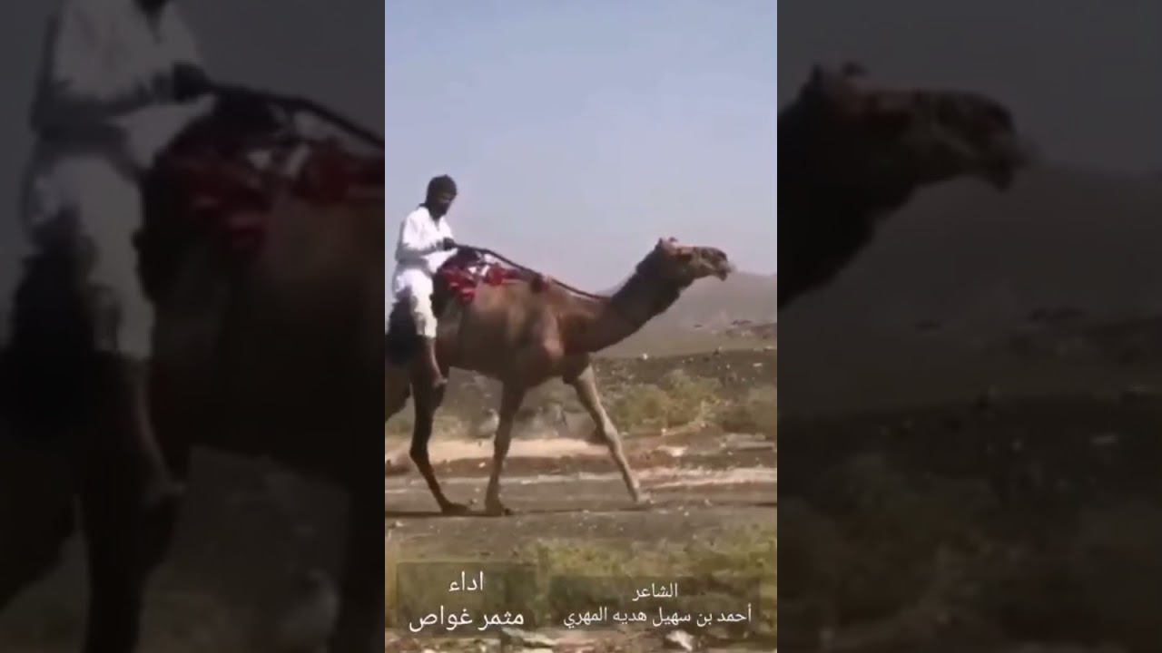 ياعمان غني | كلمات الشيخ أحمد بن سهيل هديه المهري |اداء مثمر غواص