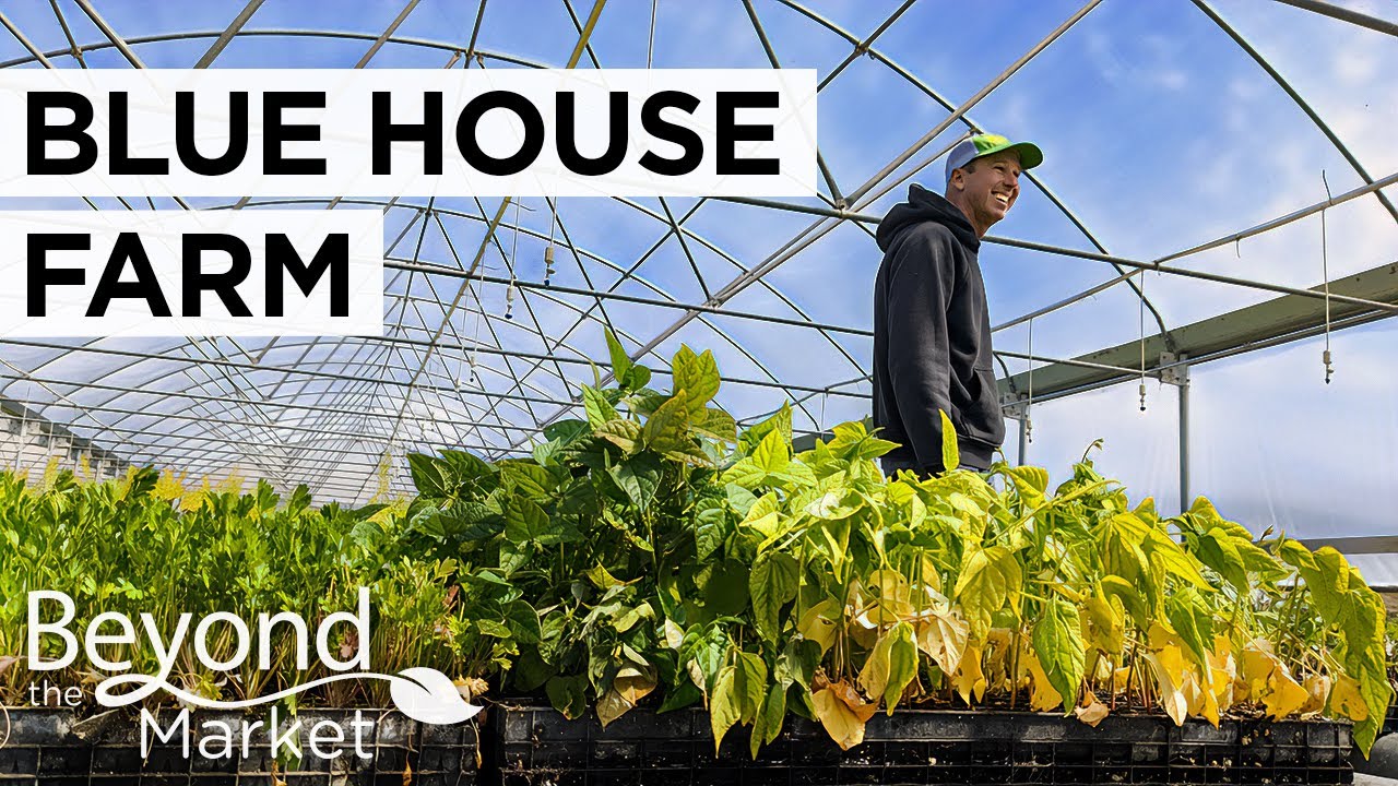Coastal Agriculture in Northern California: Farming with Blue House Farm