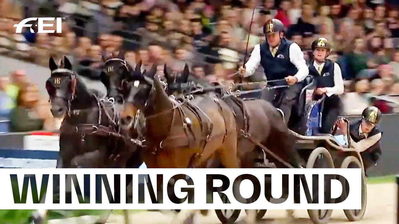Two for two for Boyd Exell! 🥇🥇 |  FEI Driving World Cup™ Stuttgart