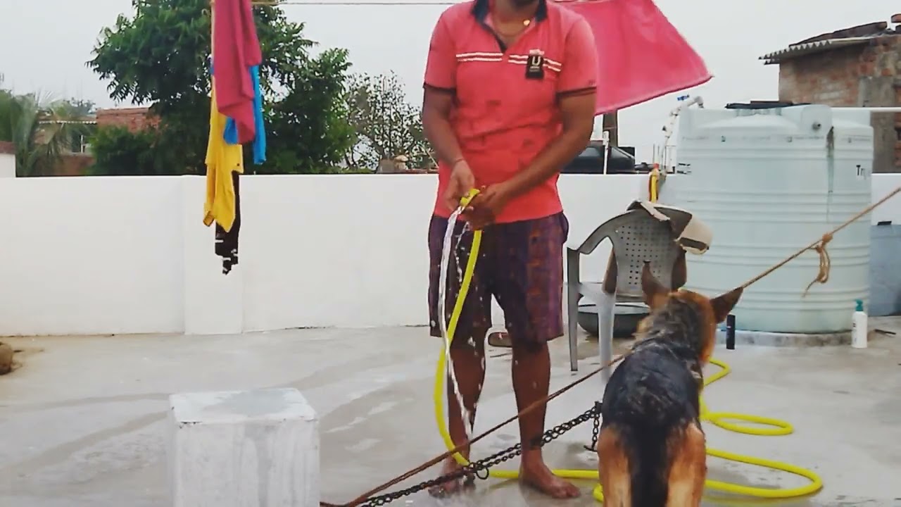 Coco masti time vlog 
