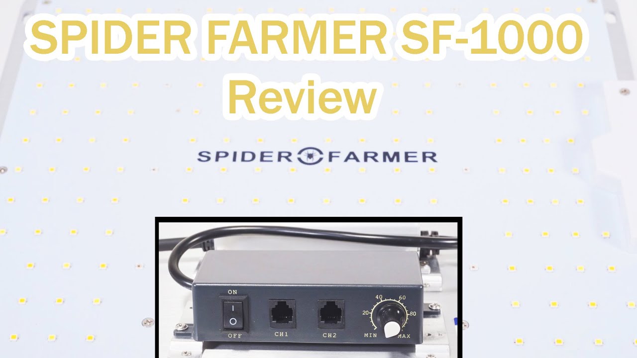 SPIDER FARMER SF-1000 REVIEW