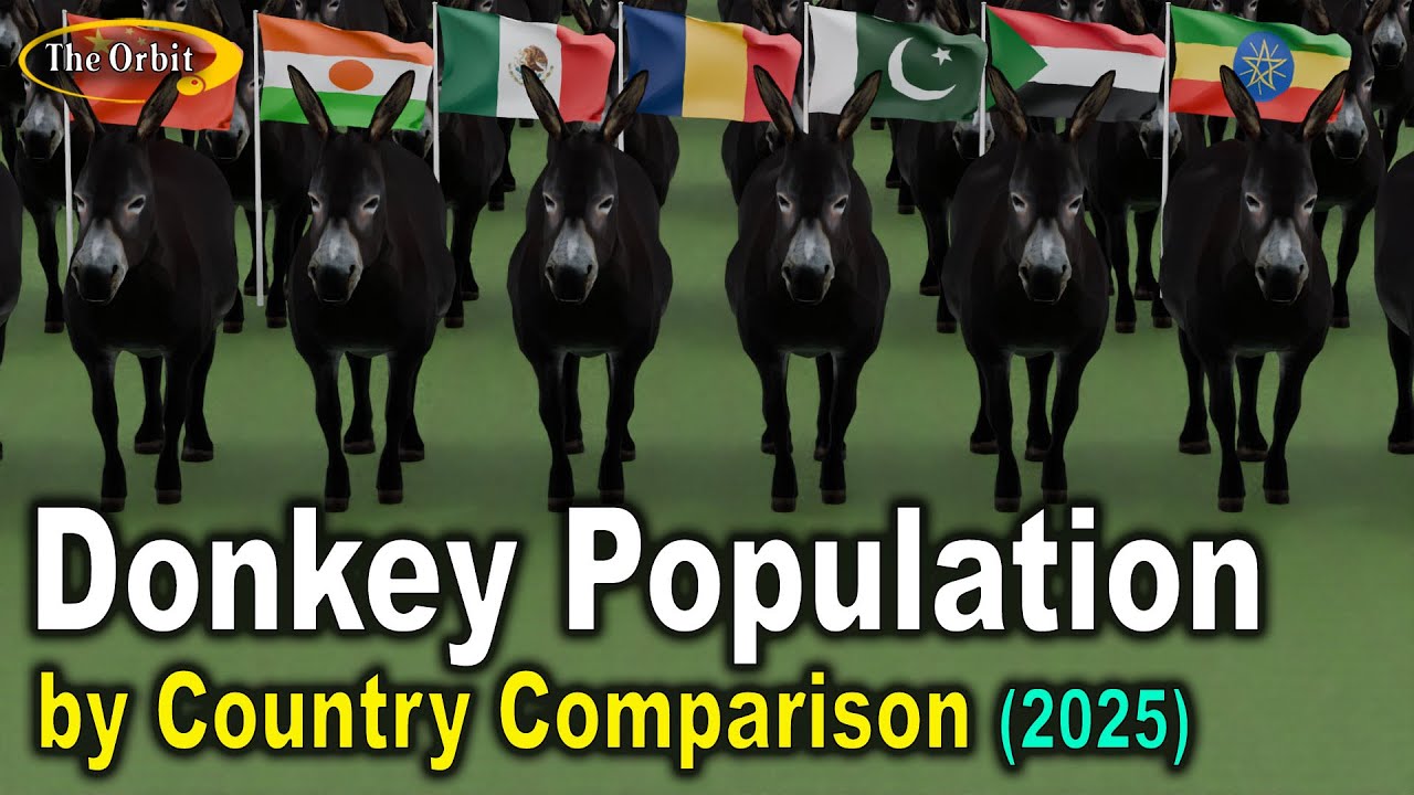 Donkey Population by Country 2025