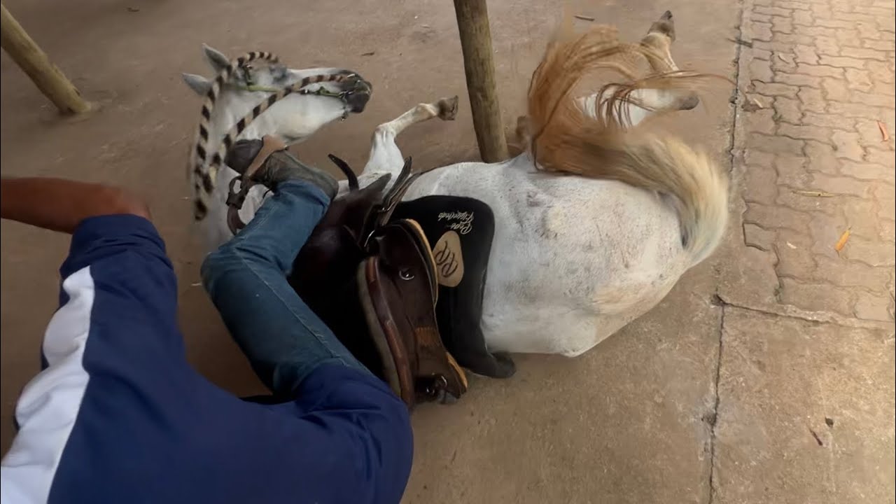 ELE CAIU do CAVALO 😱