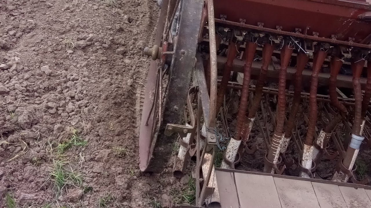 Соя польською кінною сівалкою