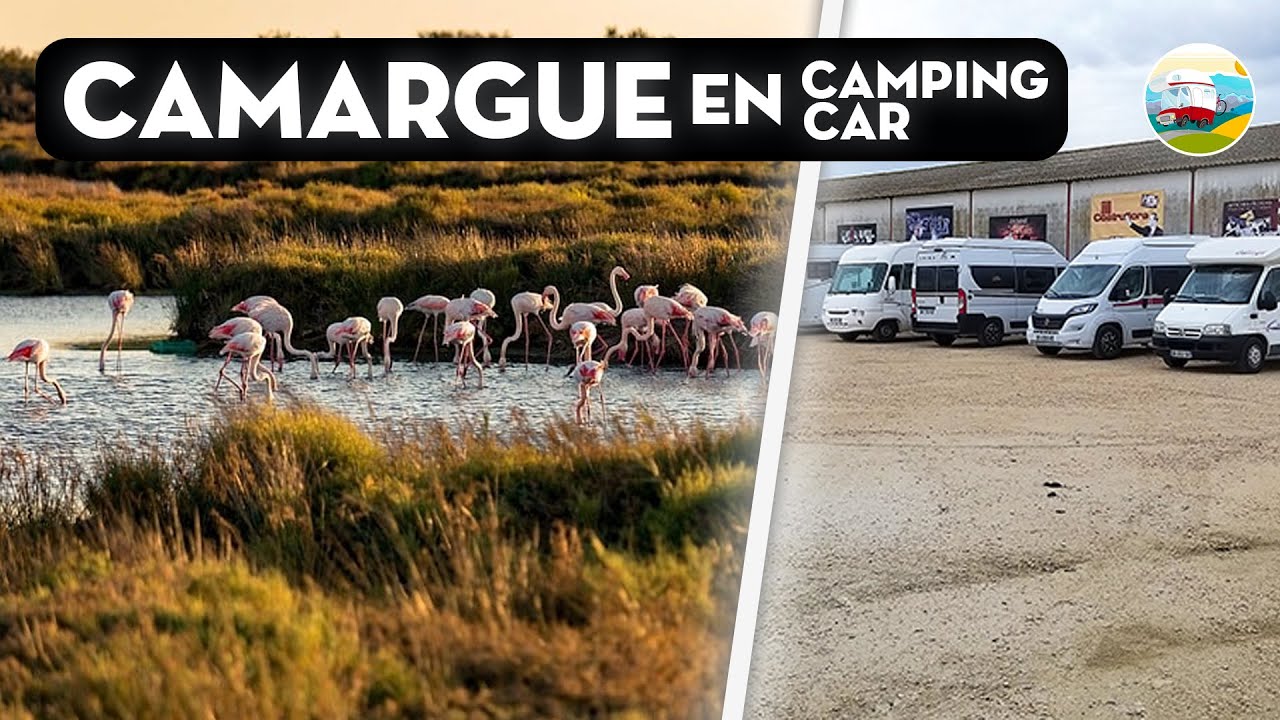LA CAMARGUE - SPOT GRATUIT  - Manade- Mejane - Paul Ricard