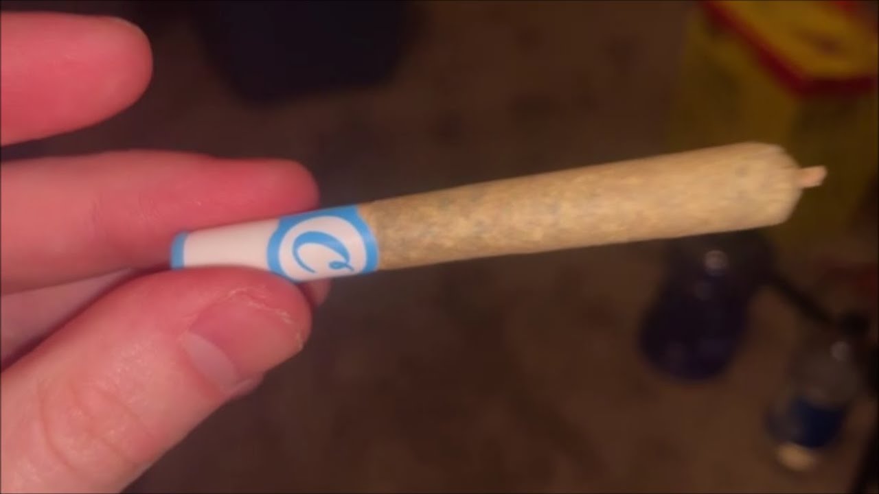 COOKIES DOINK SESH