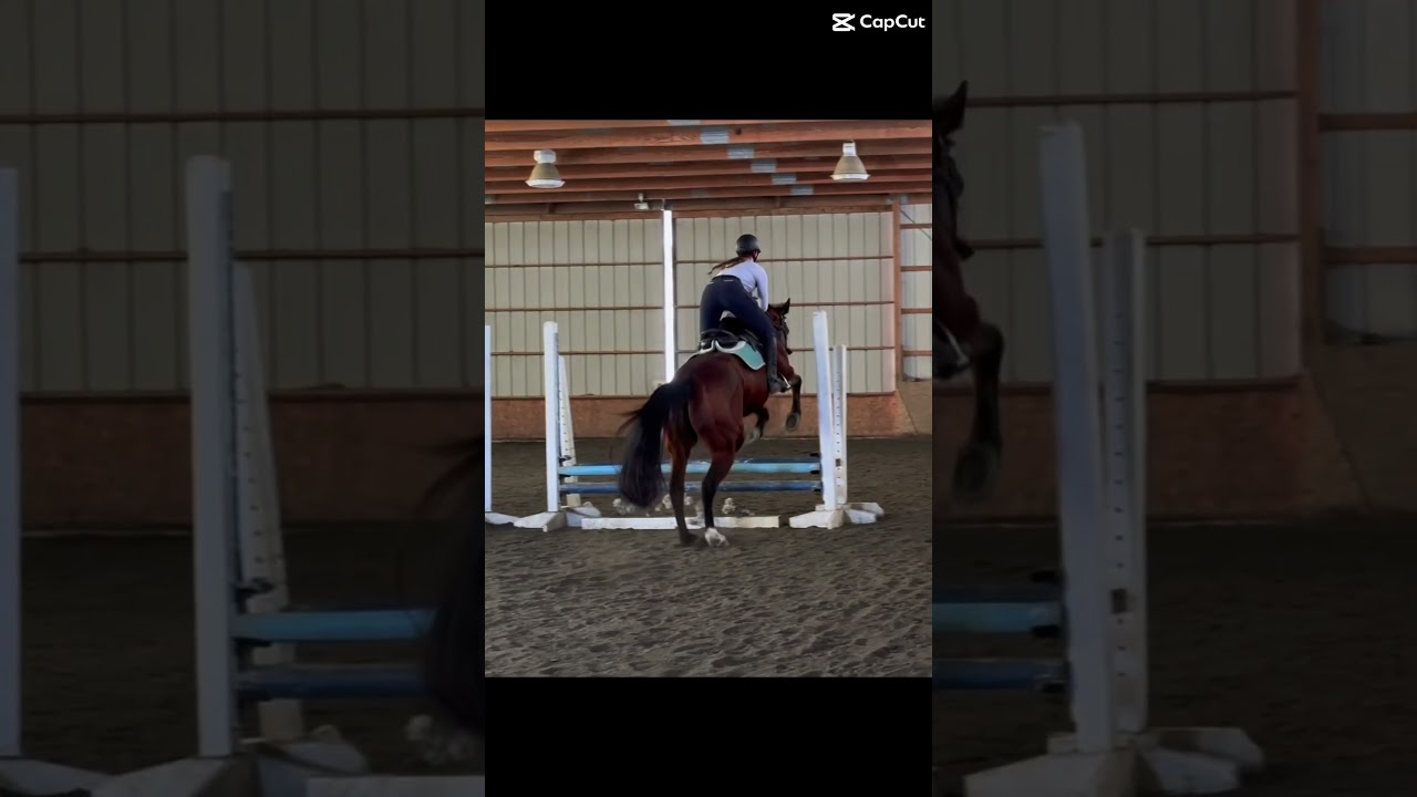 Just me failing to steer and almost banging my knee into the standard 😀