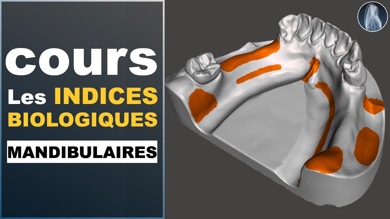 Repérer et Tracer les Indices Biologiques de la Mandibule : Les Clés pour Réussir
