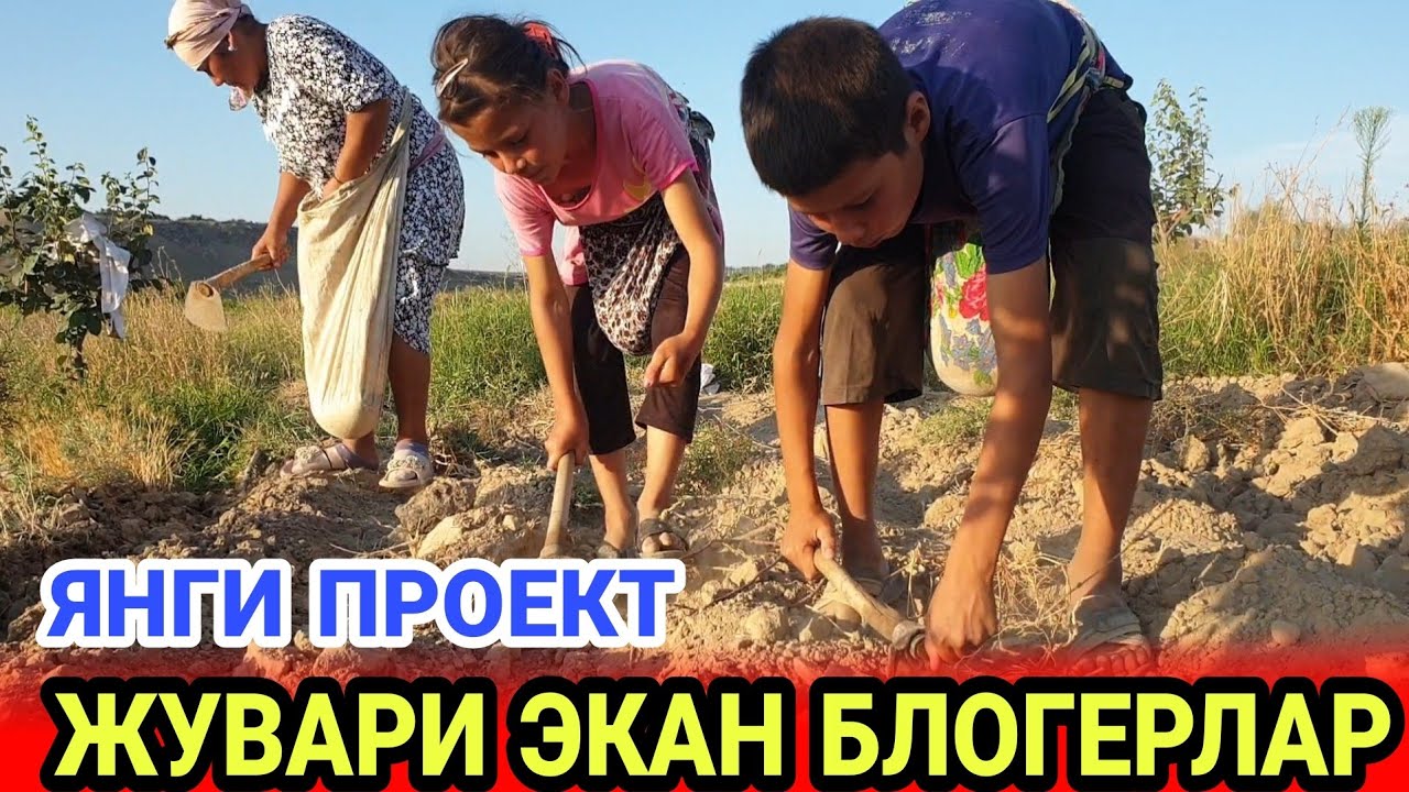 ТЕМИР ХОТИН БИЛАН ЯНГИ ПРОЕКТ БОШЛАДИК...ТЕЗ КУРИНГ