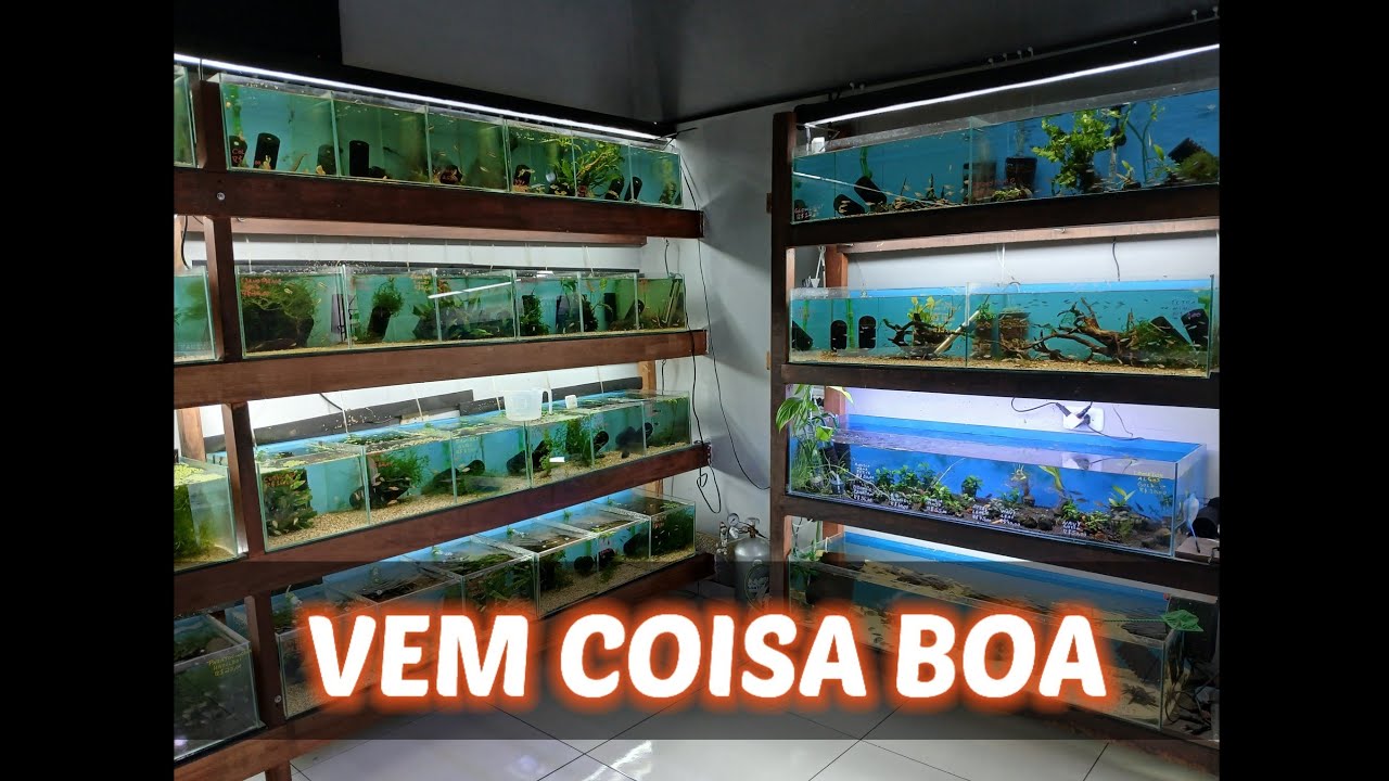 VOLTAMOS COM NOVIDADES 