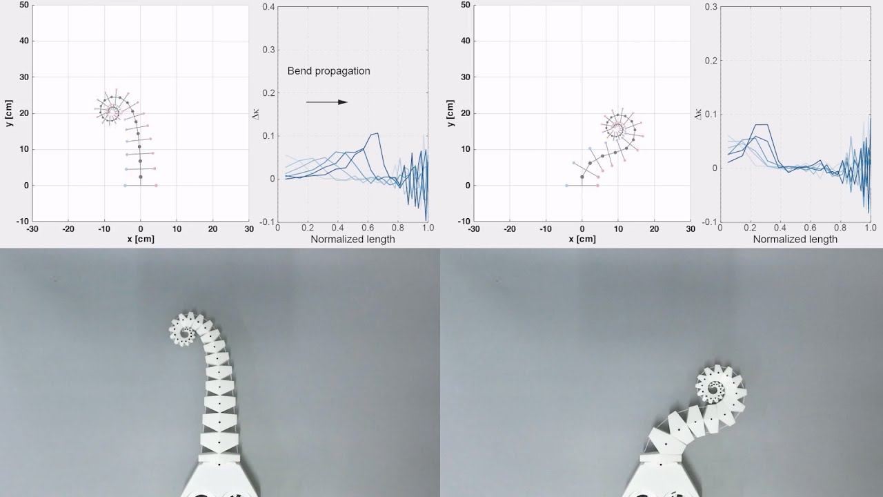 Octopus-like Soft Spiral Robot