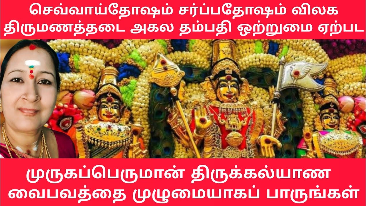 ⚜️முருகன் திருக்கல்யாண வைபவம்🙏 @sivasondhangal #thirukalyanam #murugan #kandasasti #kandasashti #god