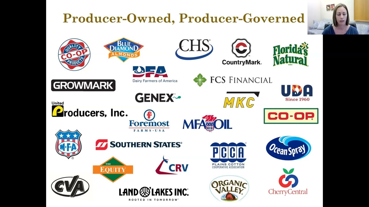 From Anecdote to Evidence: A look into governance practices of agricultural cooperatives