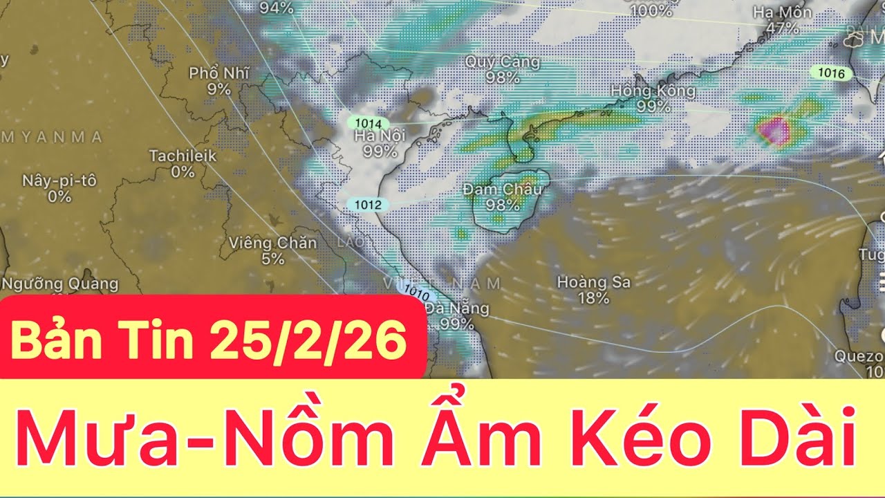 Tuần sau mưa rét cả tuần | Dự báo thời tiết hôm và ngày mai 25/2