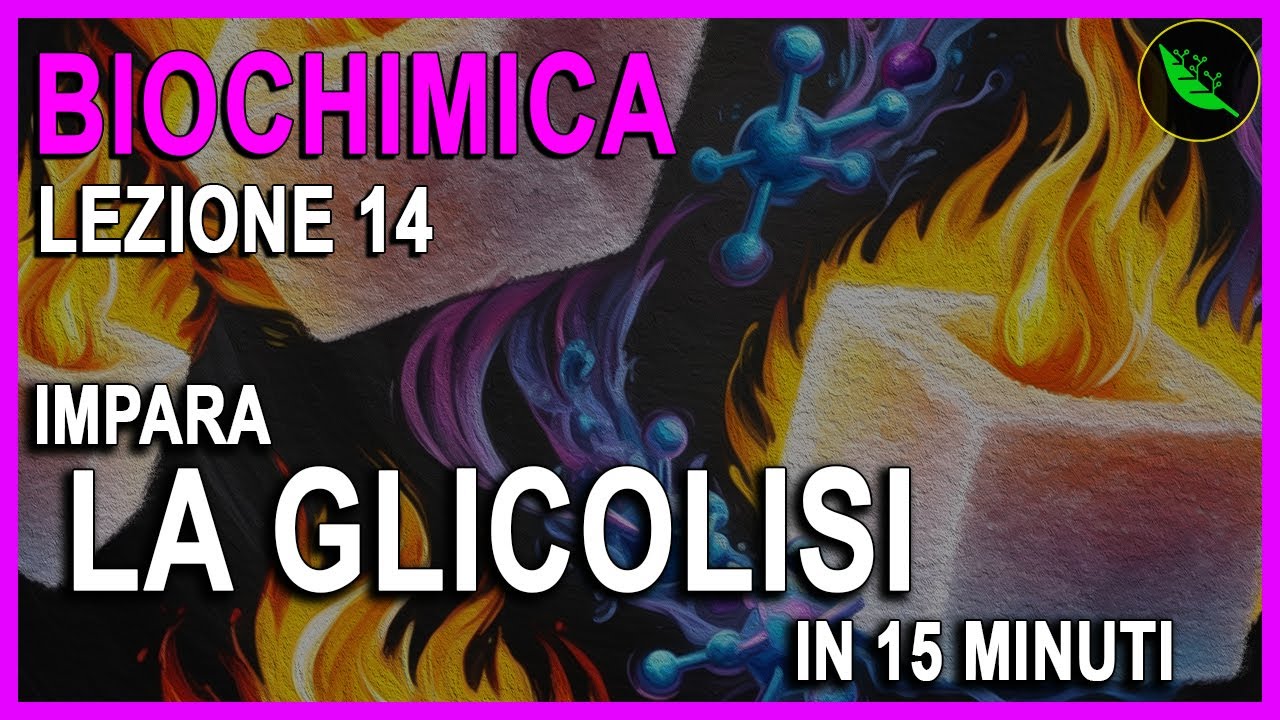 TUTTA la GLICOLISI in MENO di 15 MINUTI -Biochimica lezione 14