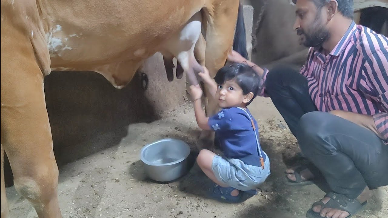 Dekho 2 saal ka bacha ka gauprem.