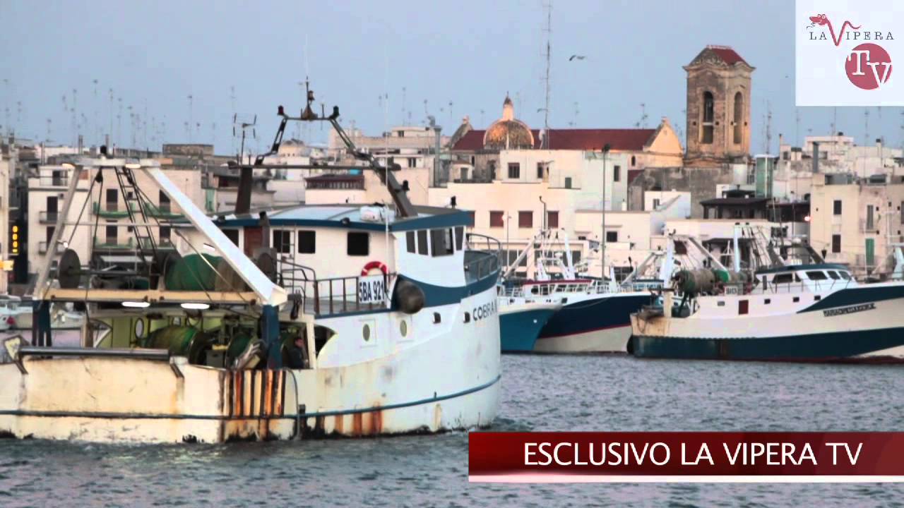 MOLA DI BARI, COBRA III E' RIENTRATO