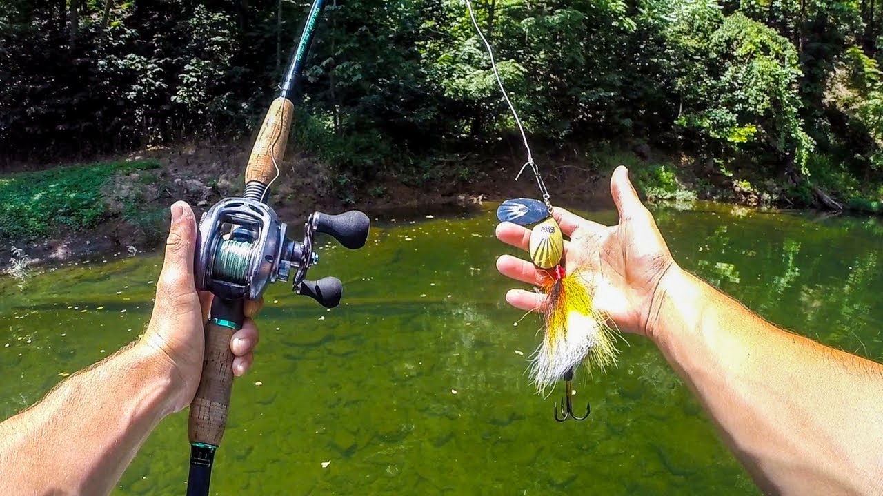 Поиск щуки и окуня в крошечном ручье Клир-Крик.