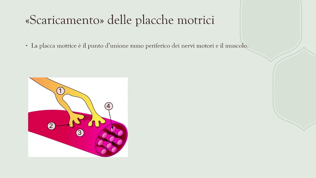 Pedalare in salita: principi generali