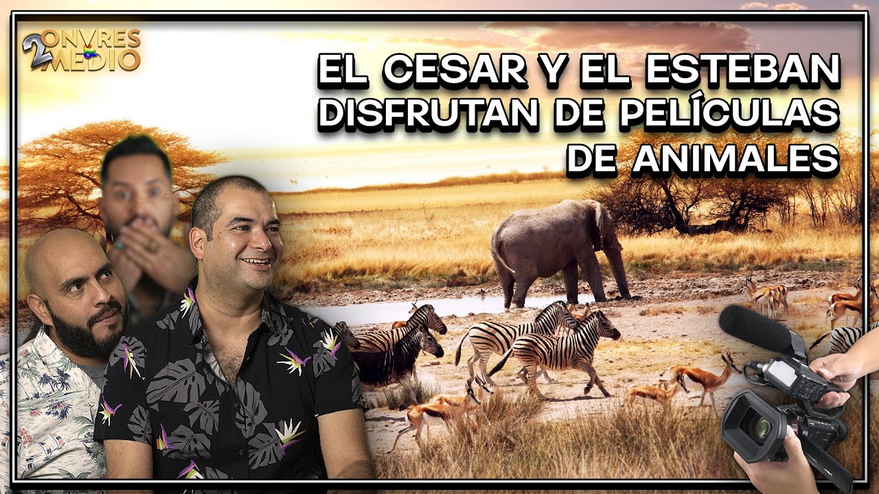 El CESAR y el ESTEBAN disfrutan las PELICULAS de ANIMALES