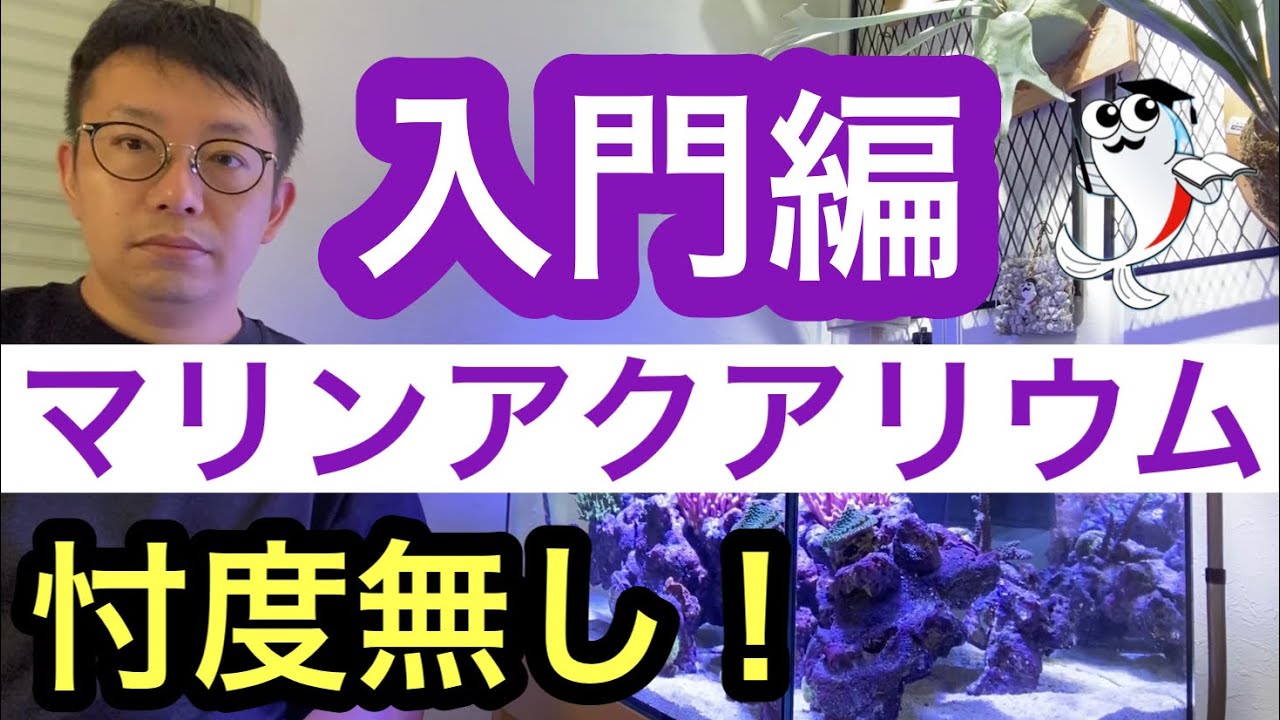 【2021年最新】サンゴの飼育方法について寄せられる質問に回答します!!