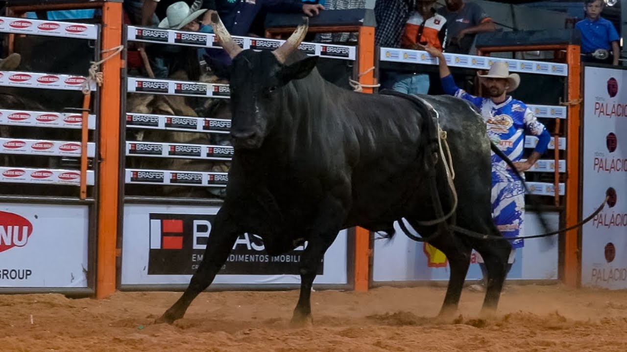 DISPUTA FINAL em TOUROS | Rodeio de GUARARAPES-SP 2025