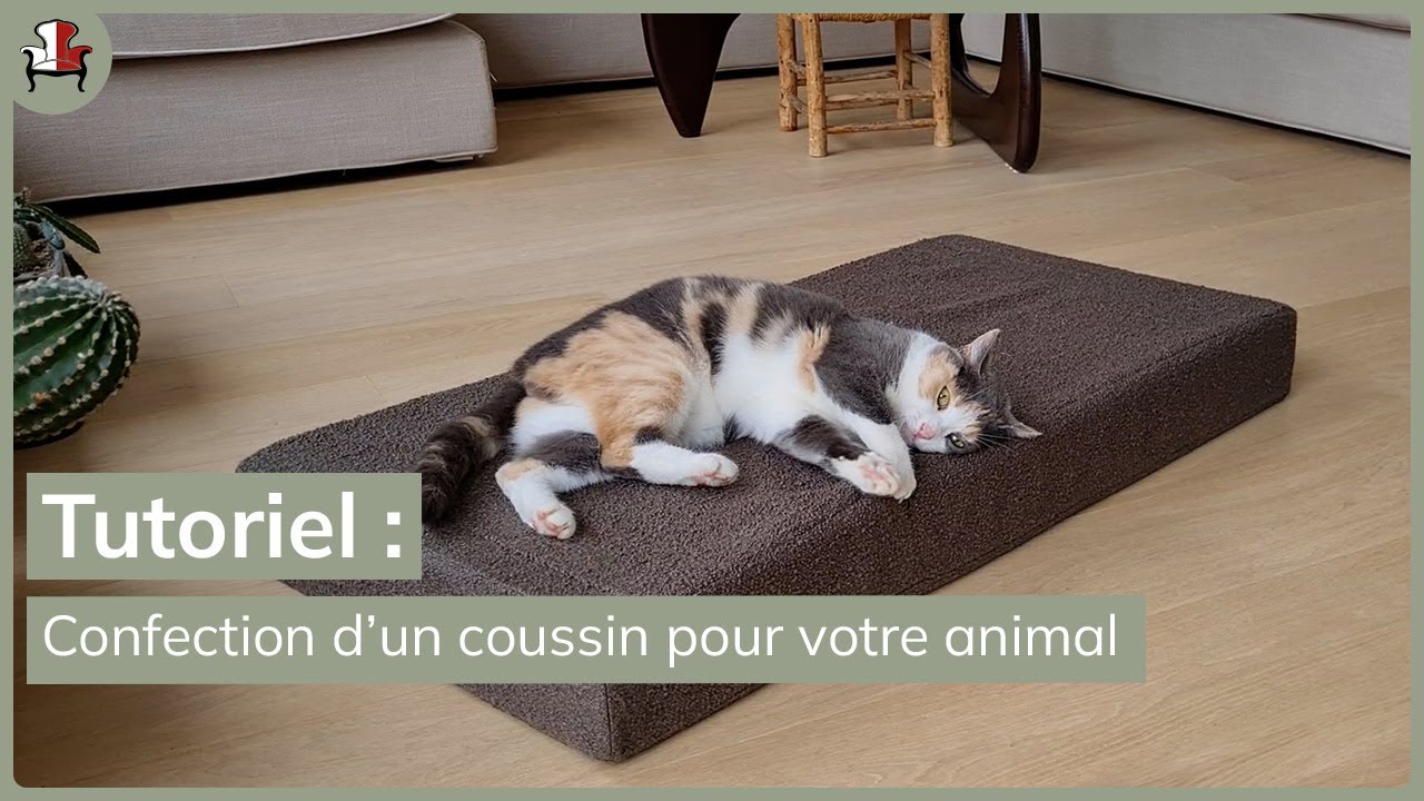 Confection d'un coussin pour votre animal de compagnie