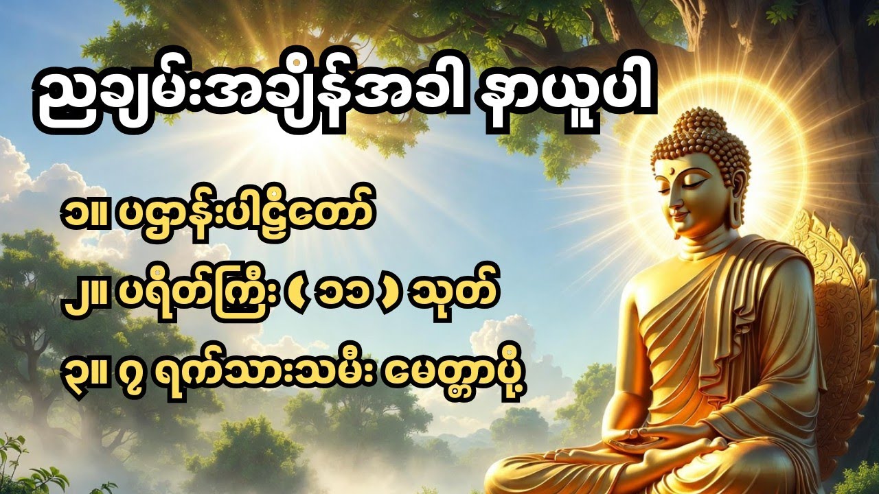 ပဋ္ဌာန်းဒေသနာတော် ၊ပရိတ်ကြီး (၁၁) သုတ်၊ ၇ ရက်သားသမီး မေတ္တာပို့  #တရားတော်များ #ညတိုင်းဖွင့်
