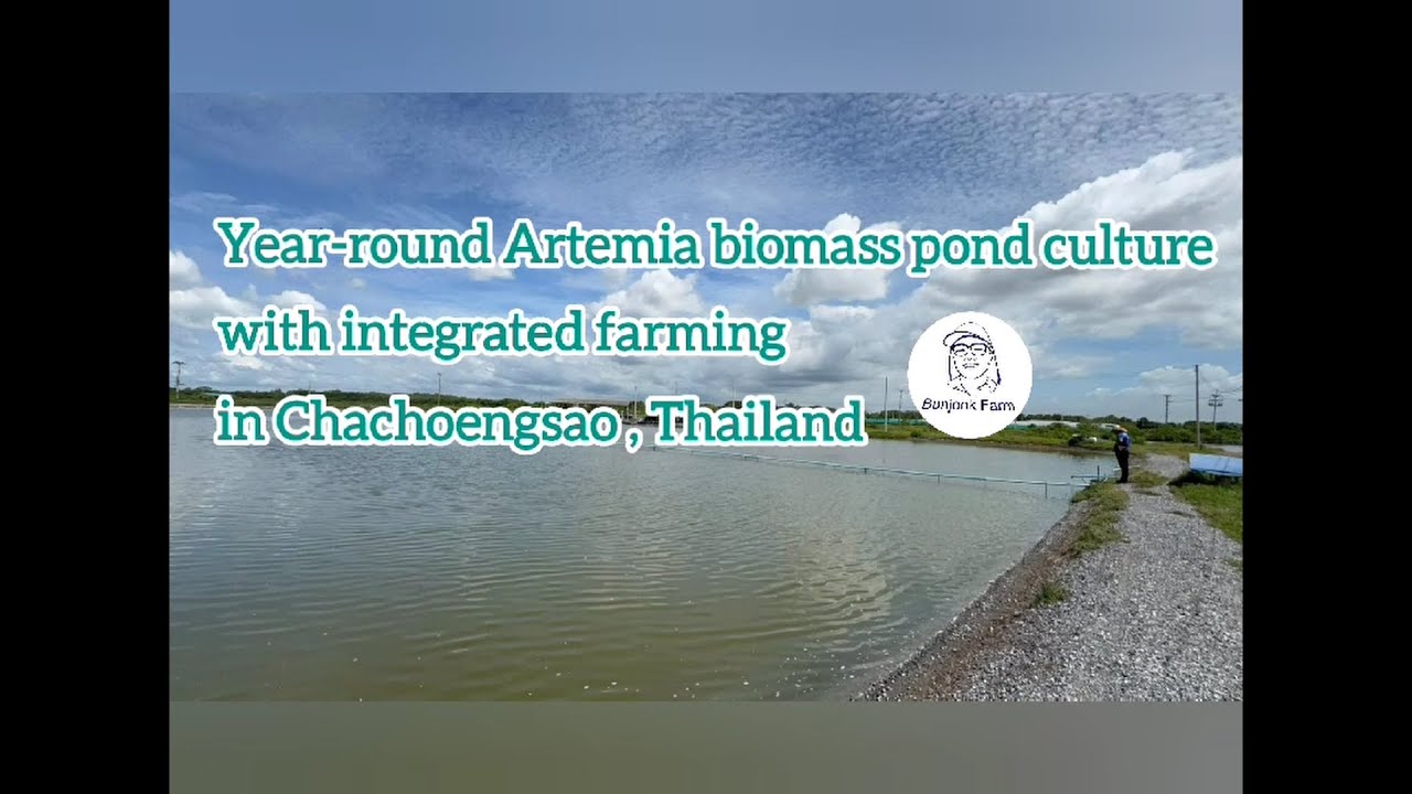 Year-round Artemia biomass pond culture with integrated farming in Chachoengsao, Thailand