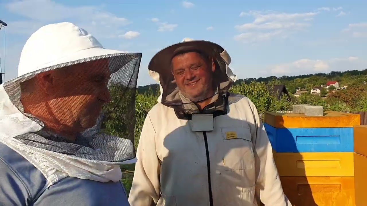 691.Stupul cu rama 3/4.Pregatire pentru iernat.