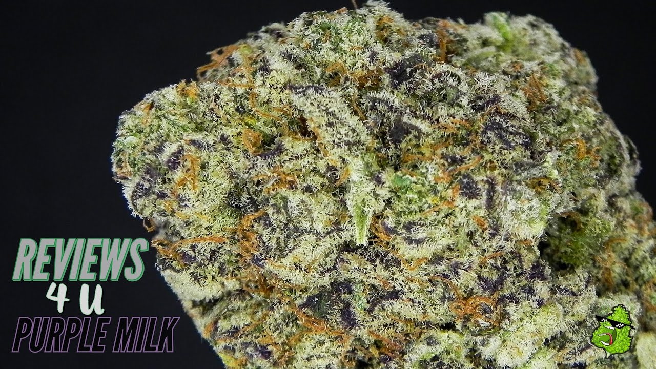 PURPLE MILK REVIEW | THC REVIEWS 4 U