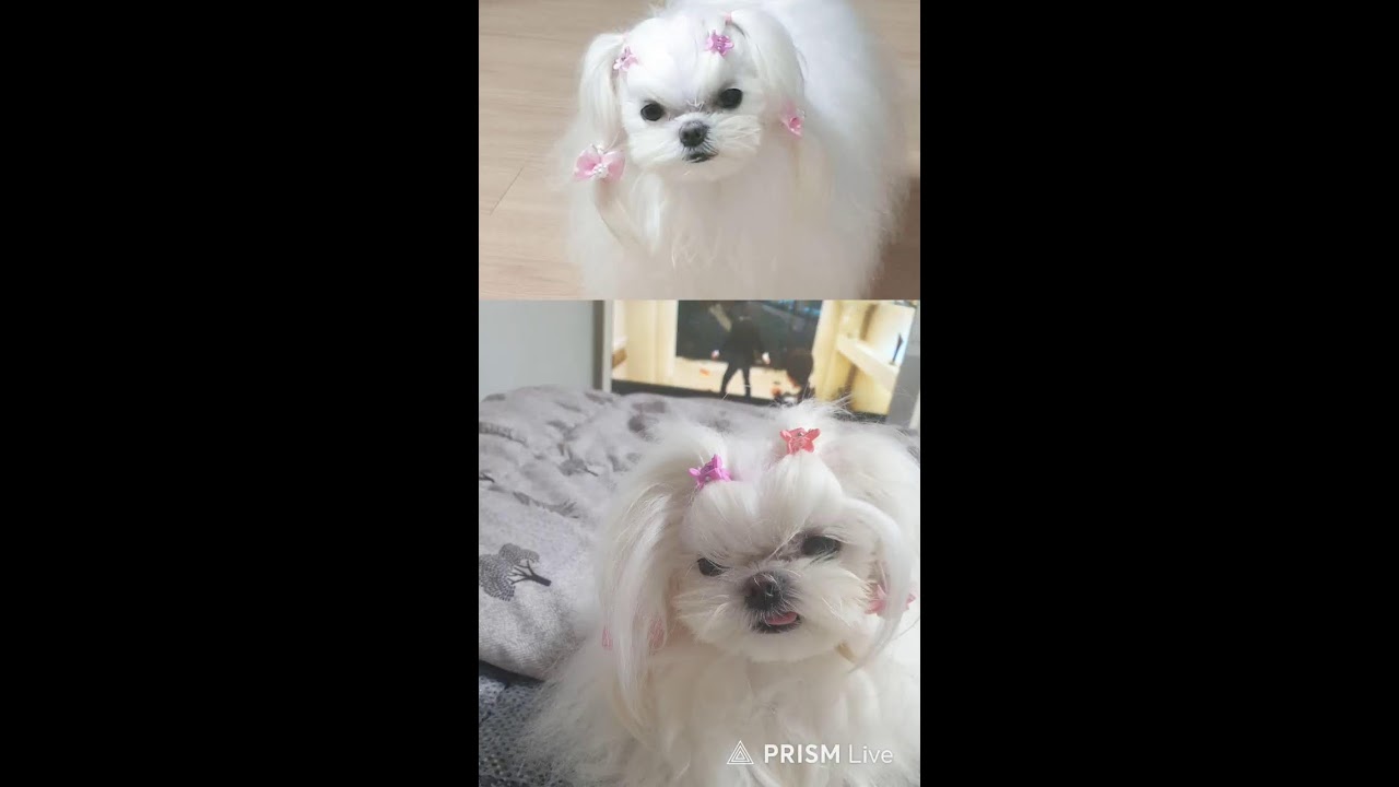 두부.콩이 음악방 우중충한 날씨~!