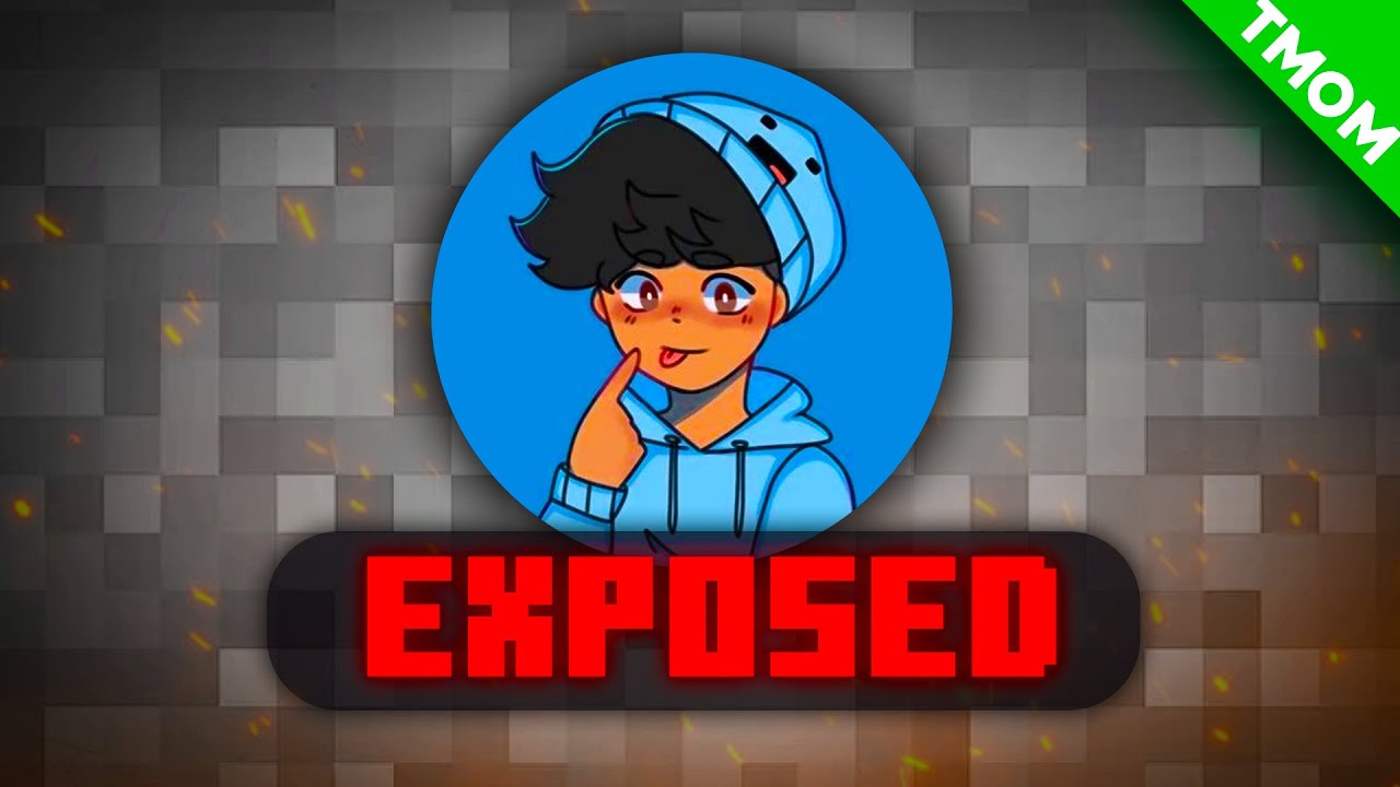 The Skeppy Allegations are Crazy...