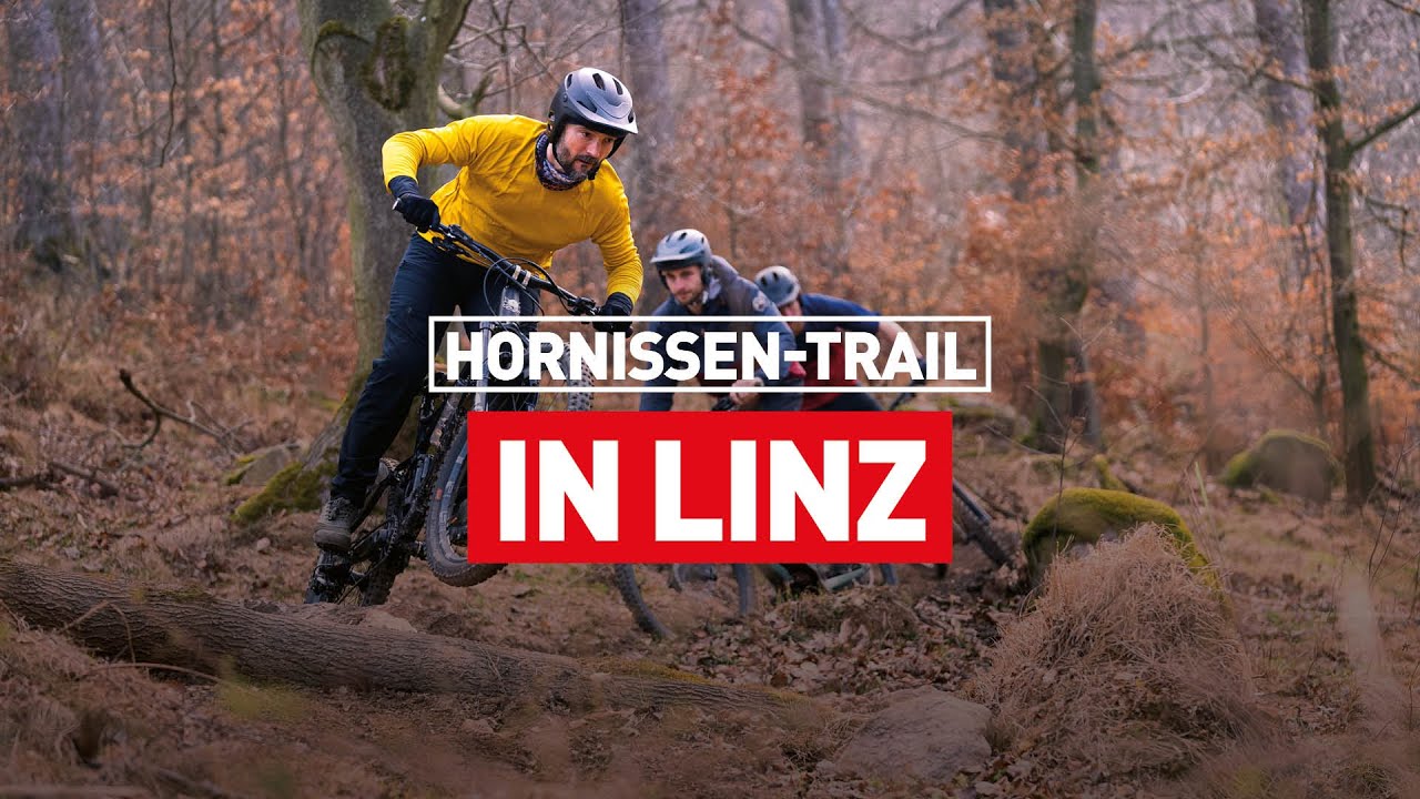 Eröffnung vom Hornissen-Trail am Pfenningberg bei Linz || #buildtrailsnotrestrictions