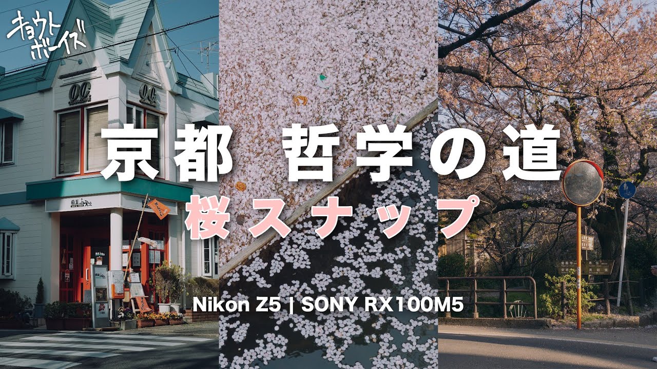 【京都桜観光】哲学の道 - 岡崎のフォトウォーク【Nikon Z5 | SONY RX100M5】