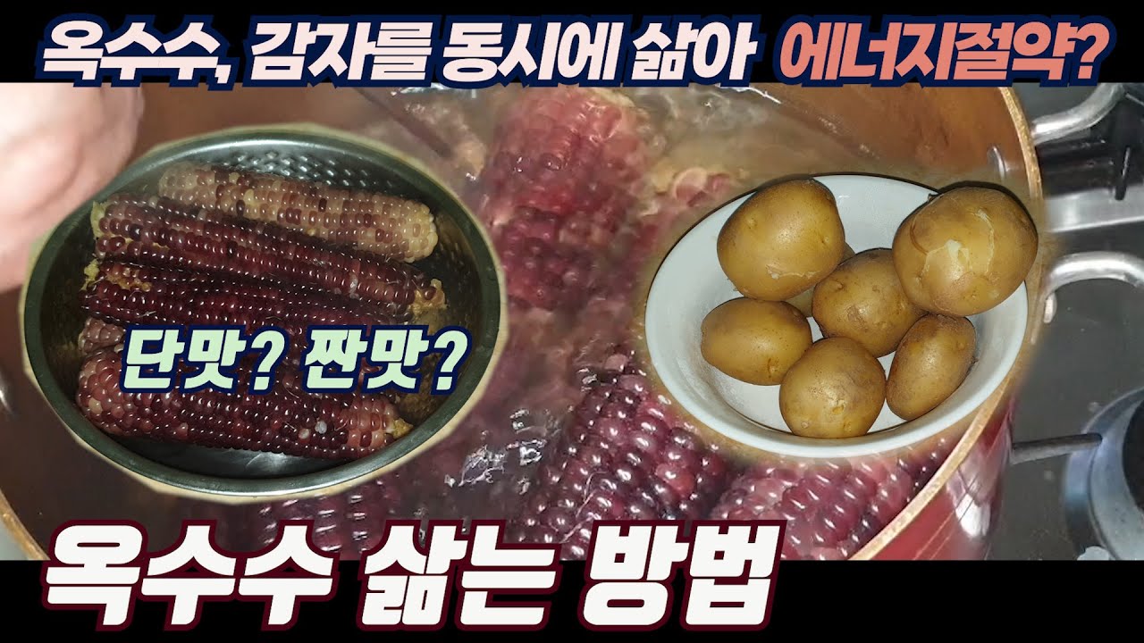 옥수수 삶는 방법 _ 찌는 것과 삶는 것 차이는?  옥수수 삶을 때 뉴슈거?, 감자도 동시 에너지 절약? [생존요리 레시피]
