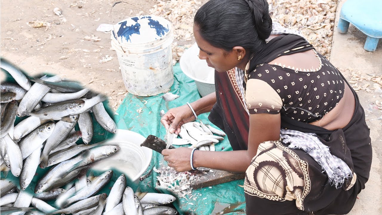 Amazing Big Fish cutting Skills by Village Woman |chirala fish market|chirala vadarevu beach