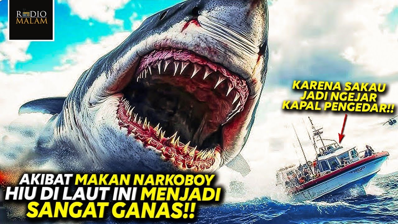 BERHADIAH !! MENYELAM KE DASAR LAUT YANG DIPENUHI HIU GANAS - Alur Film GREAT WHITE WATERS (2025)