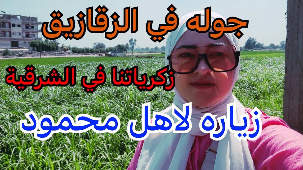 جولة في الزقازيق محافظة الشرقية أجمل الأماكن وذكريات أيام الخطوبه / زياره لأهل محمود