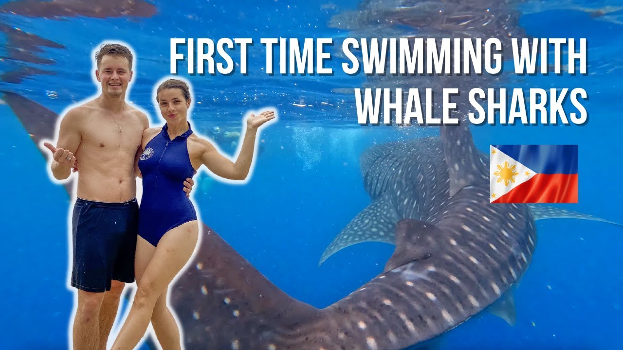 First Time Swimming with Whale Sharks Oslob Cebu