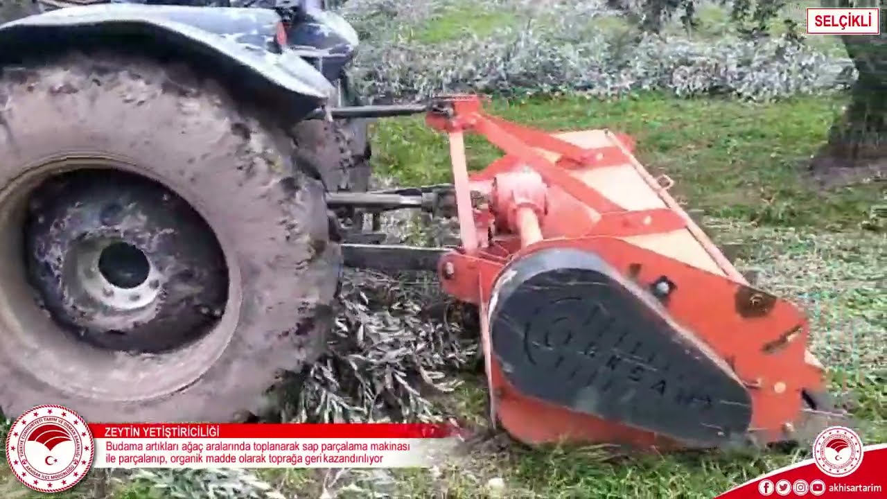 ▶️ Dal Parçalama Makinesi Zeytinlikte Nasıl Çalışır?
