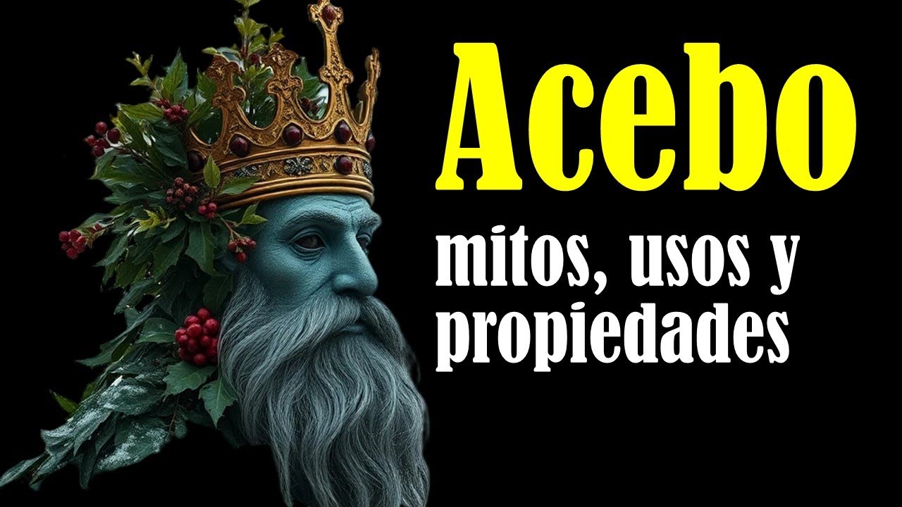 Mitos, usos y propiedades del acebo