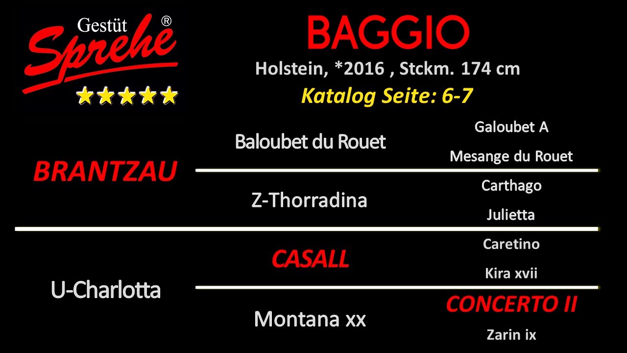 Baggio v. Brantzau - Casall - Concerto II - Ahorn Z