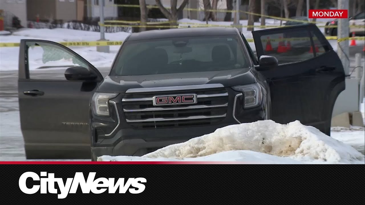 Edmonton police reassuring public after 3 shootings in a week